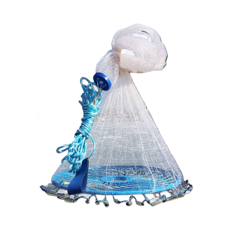 Δίχτυα & παγίδες