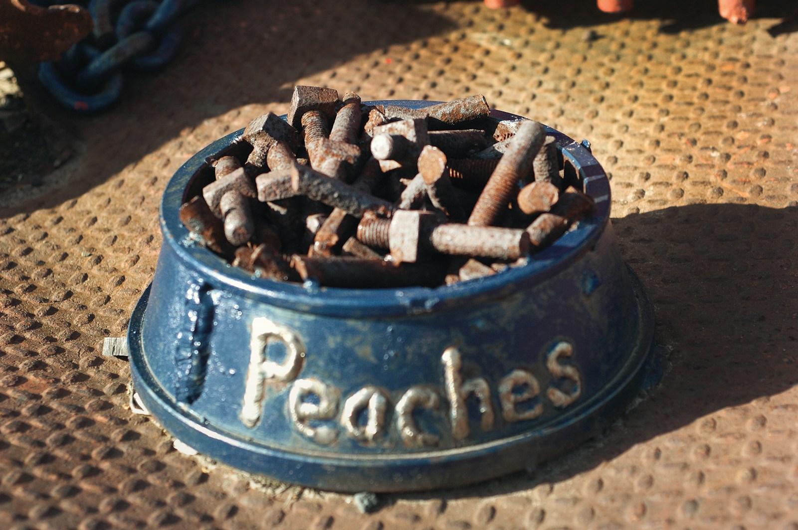 Ταΐστρες & ποτίστρες